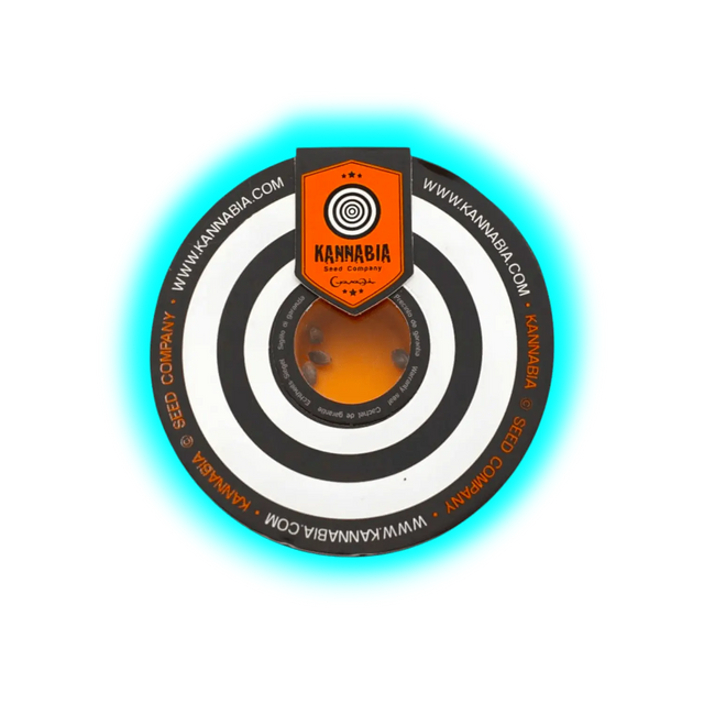 Kannabia Swiss Dream Rose CBD Autoflowering 10 Stk.