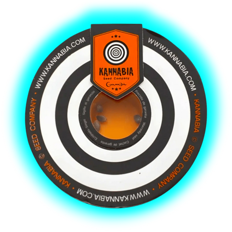 Kannabia Swiss Dream Rose CBD Autoflowering 10 Stk.