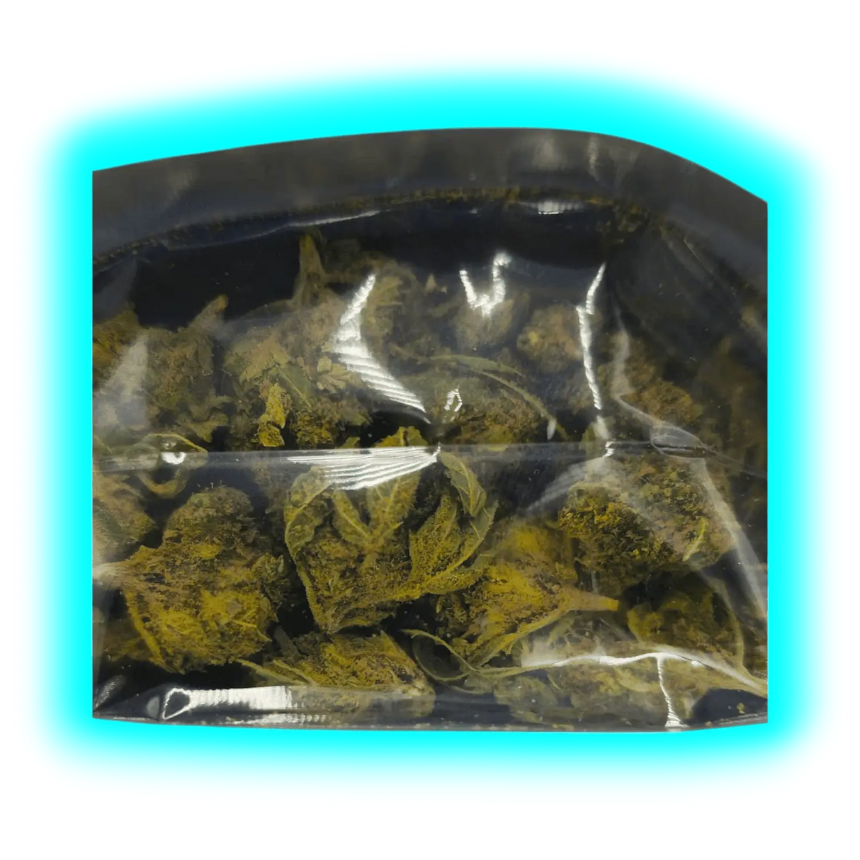 Getrocknete CBD-Blüten in einem transparenten Plastikbeutel mit reflektierender Oberfläche