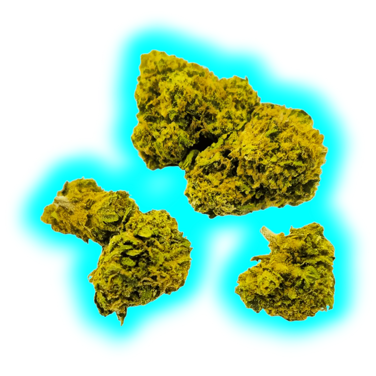 KanaOne 2.0 Bubble Gum Indoor 12g