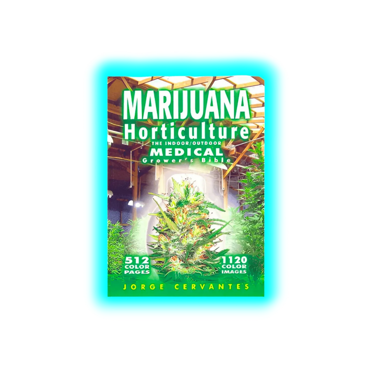 Marijuana Indoor Holticure Italiano