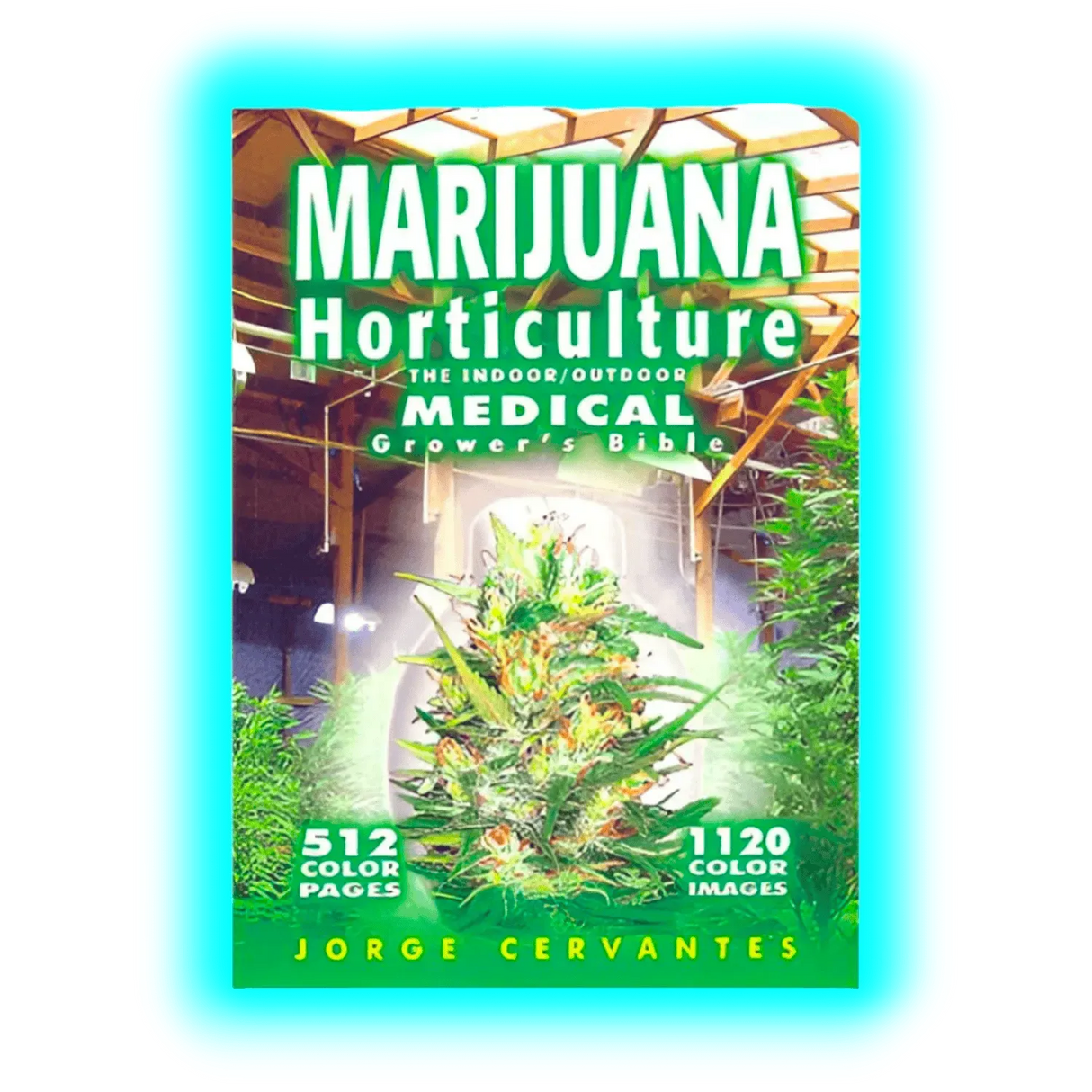 Marijuana Indoor Holticure Italiano