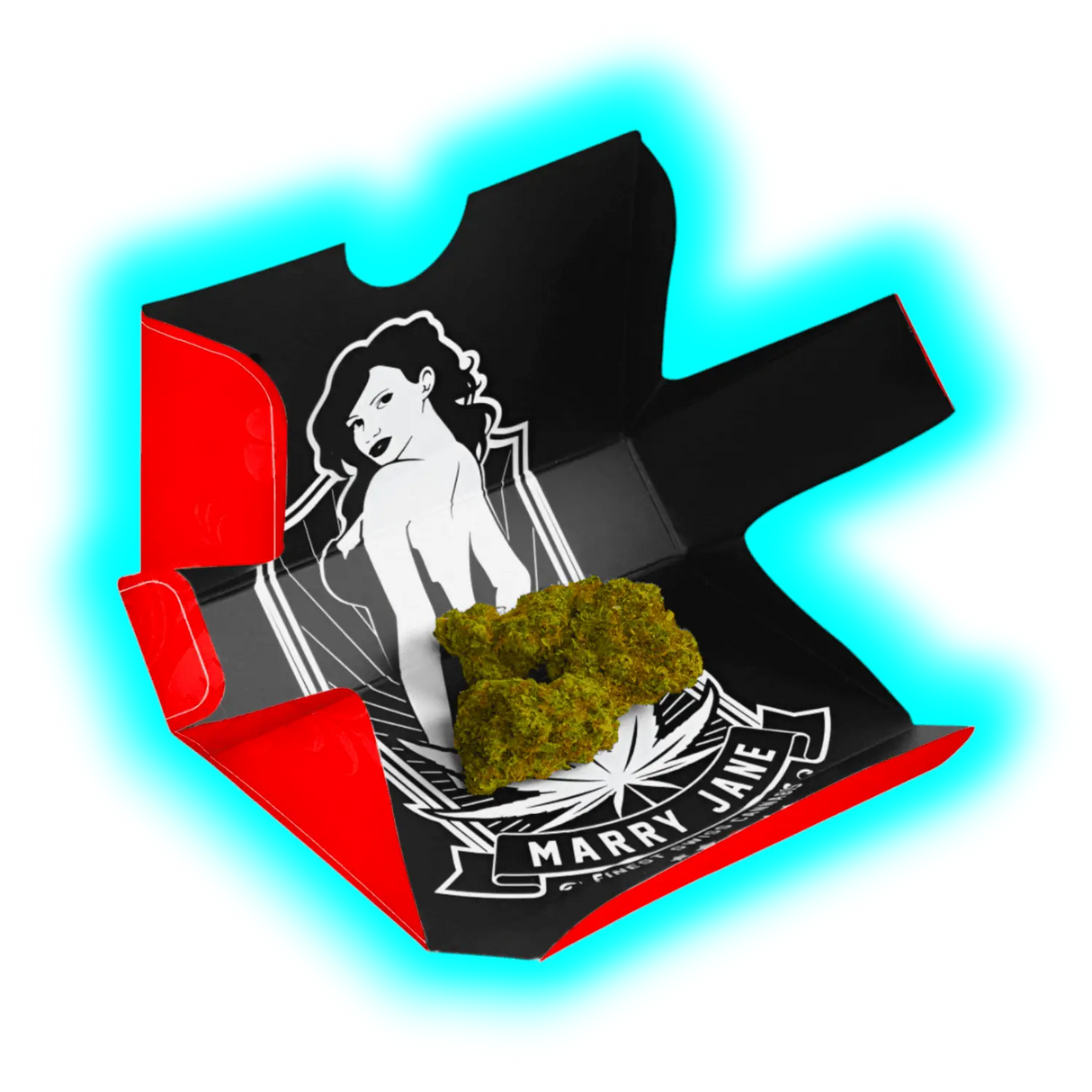 Eine Marihuanapflanze in einer Box mit rotem und schwarzem Design, die CBD-Produkte enthält