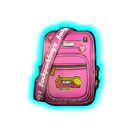 Mylar Bag Backpack Boyz 1pc