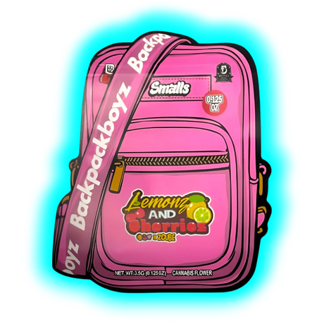 Mylar Bag Backpack Boyz 1pc