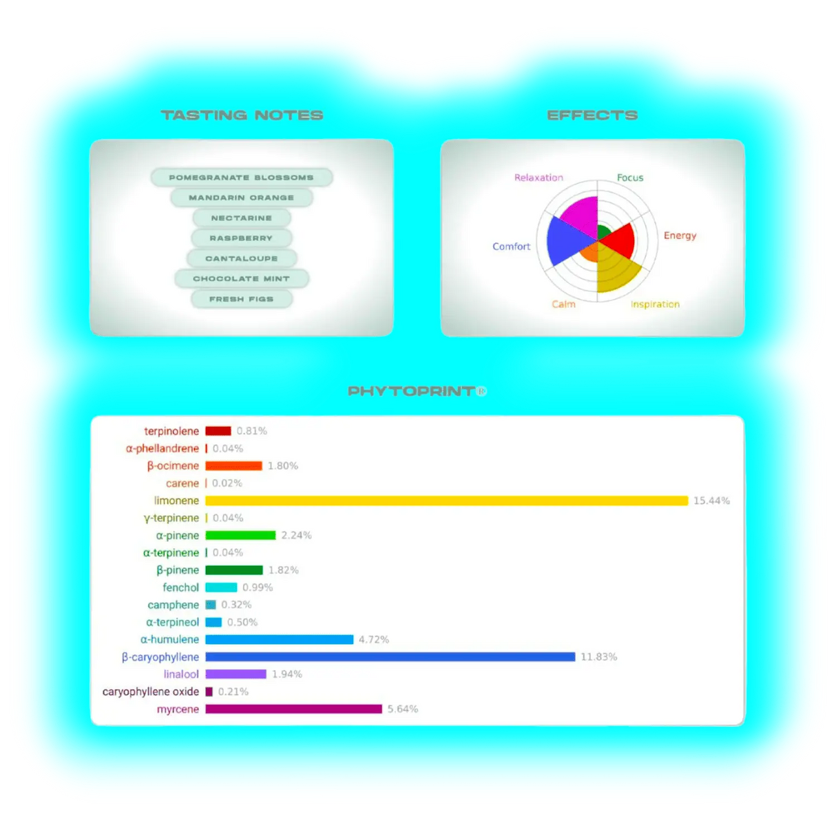 Neu Bag Candy Gas Infusions Bag