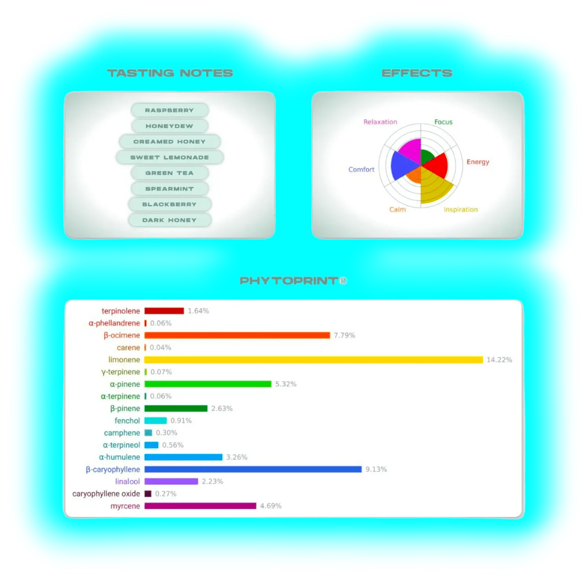 Neu Bag Desert Infusions Bag