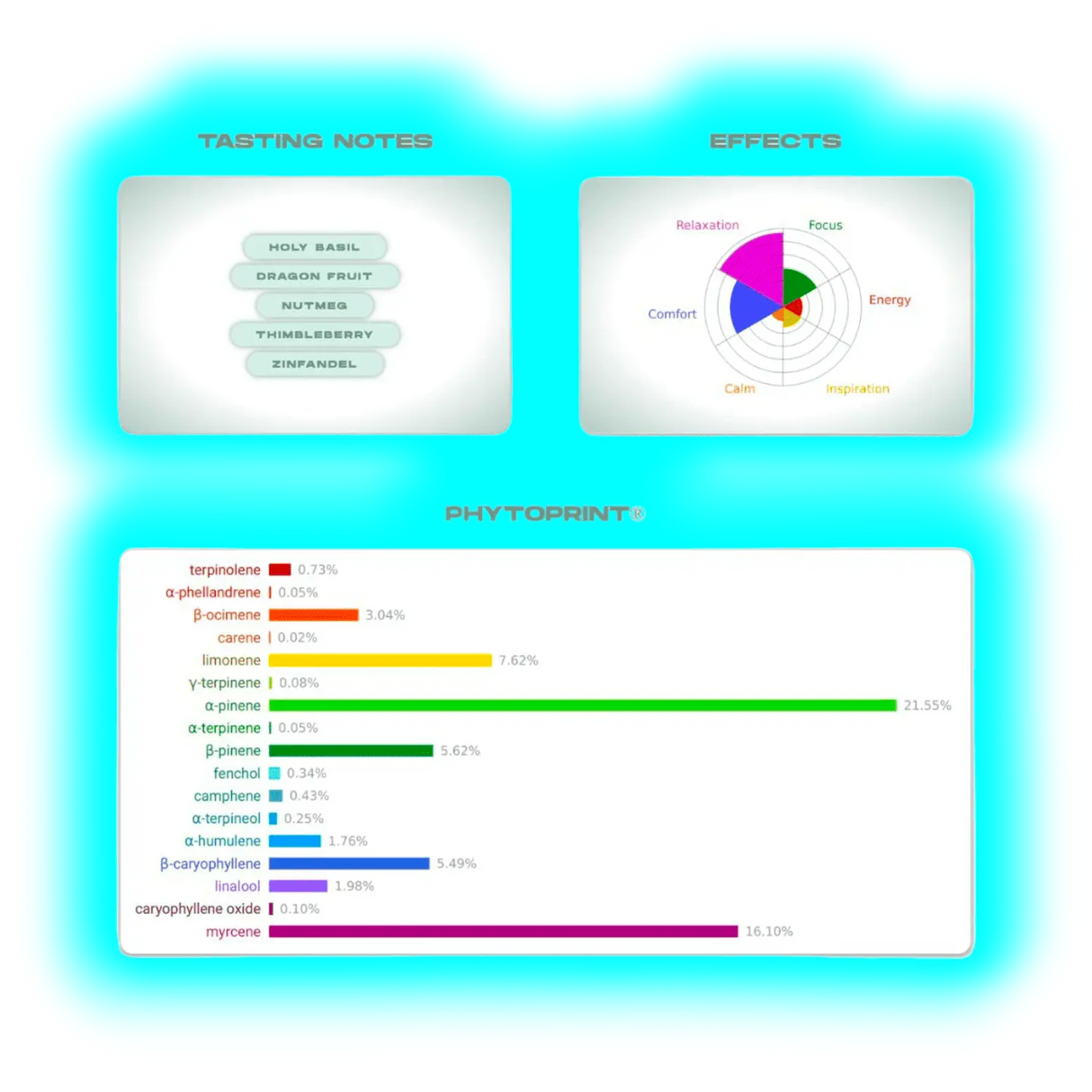 Neu Bag Purple Infusions Bag