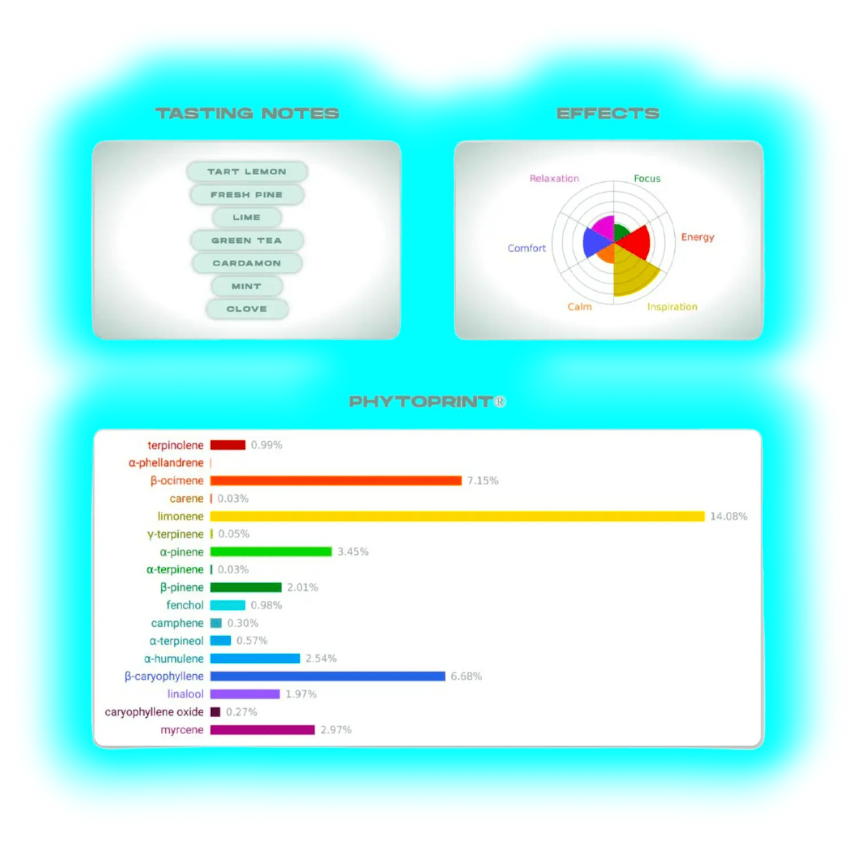 Neu Bag Sour Infusions Bag