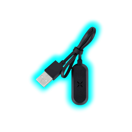 PAX Mini Charger