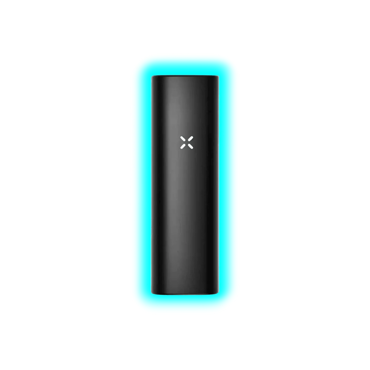 PAX Mini Onyx
