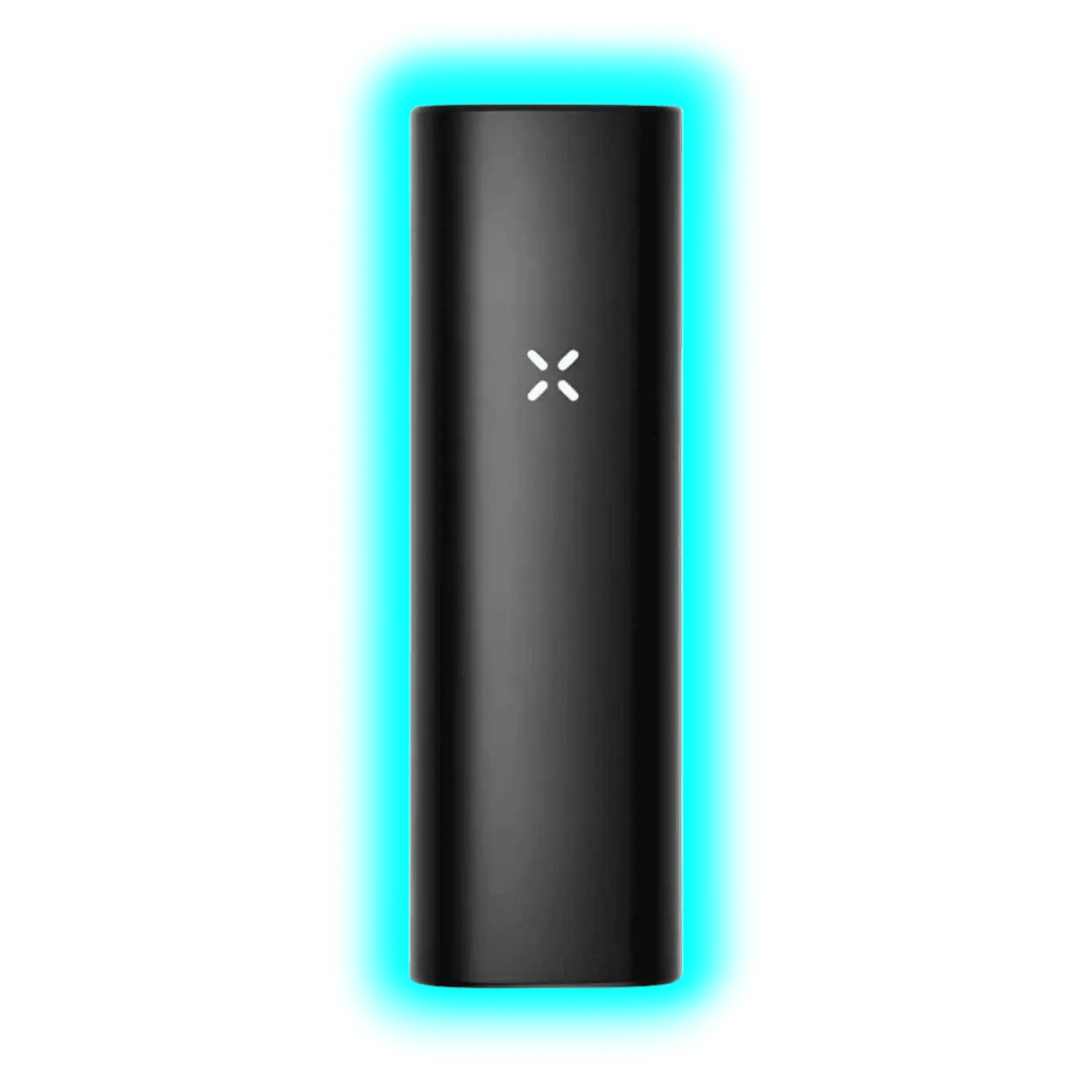 PAX Mini Onyx