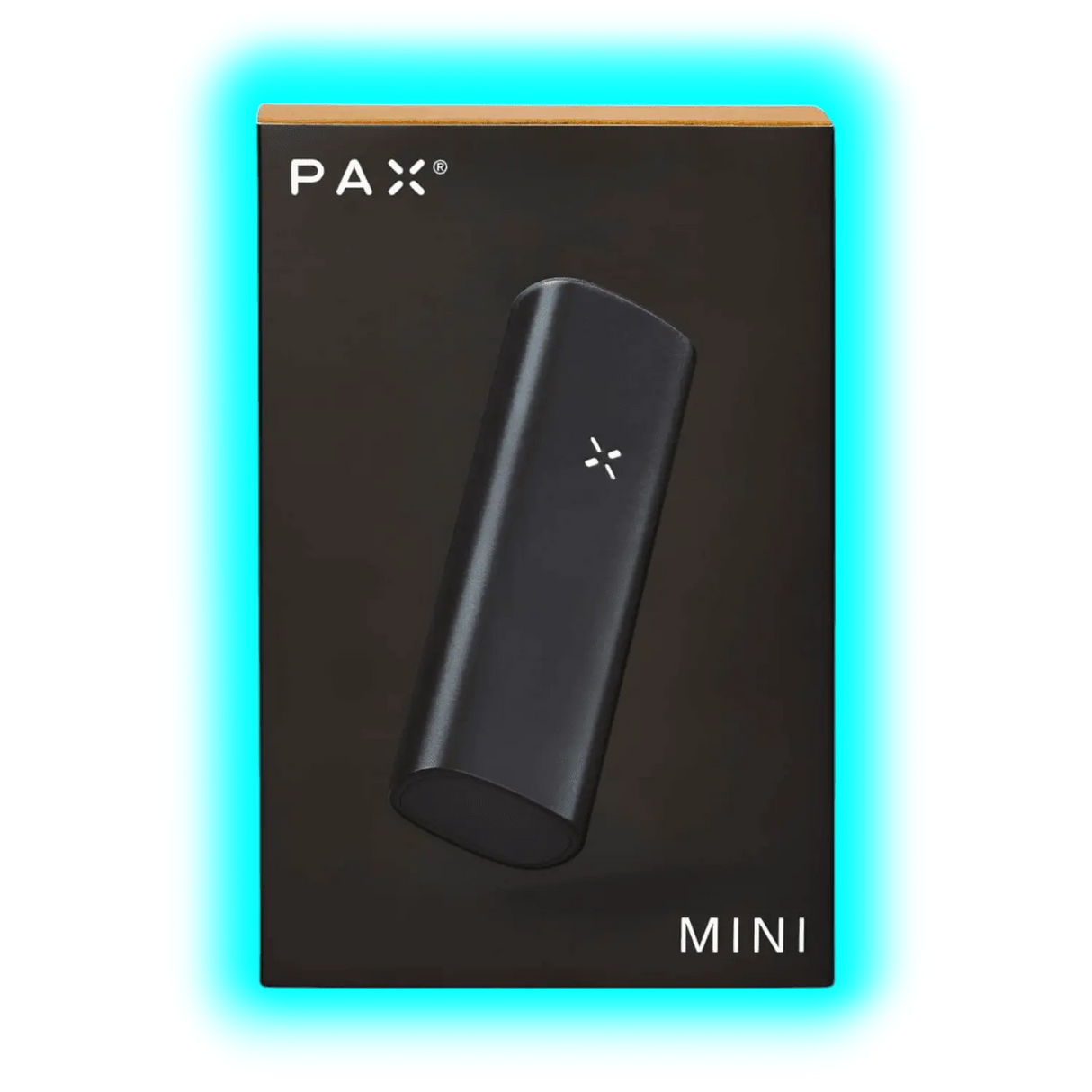PAX Mini Onyx