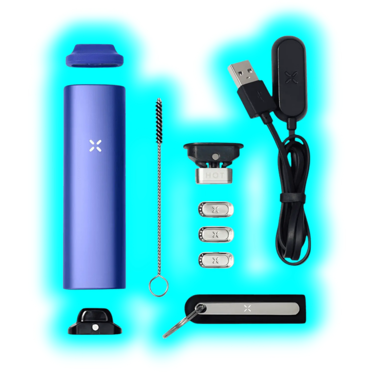 PAX Plus Complete Kit Periwinkle