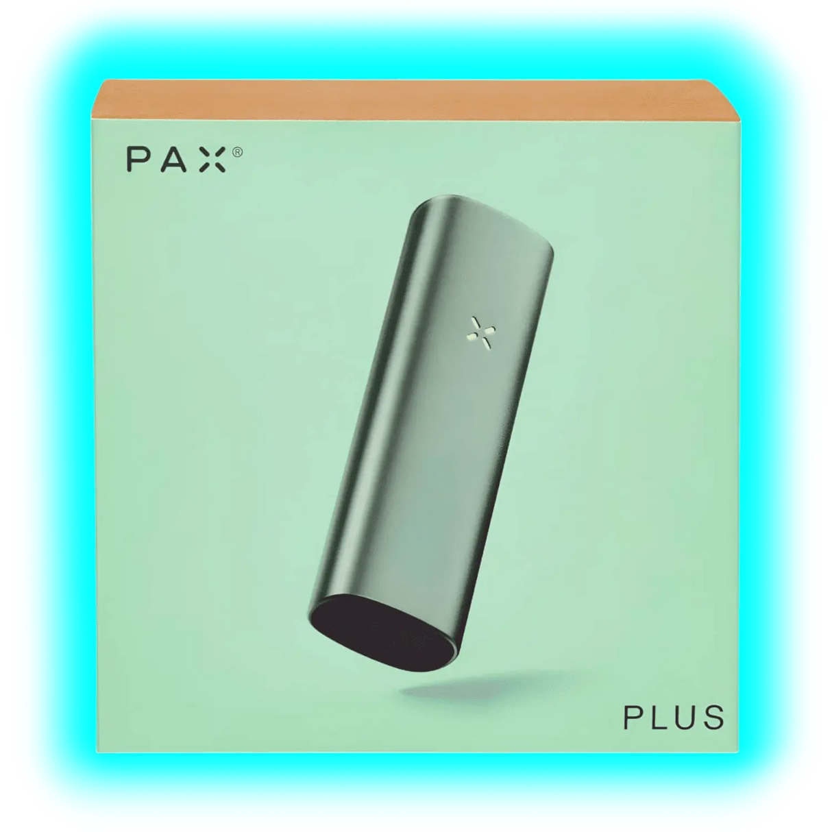 PAX Plus Complete Kit Sage