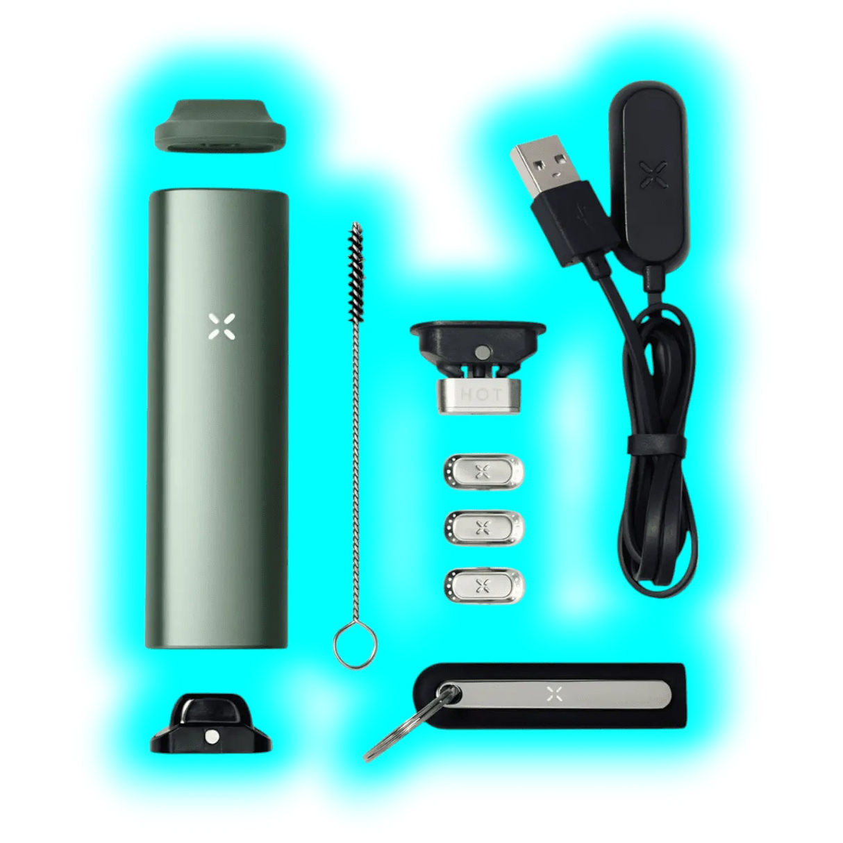 PAX Plus Complete Kit Sage