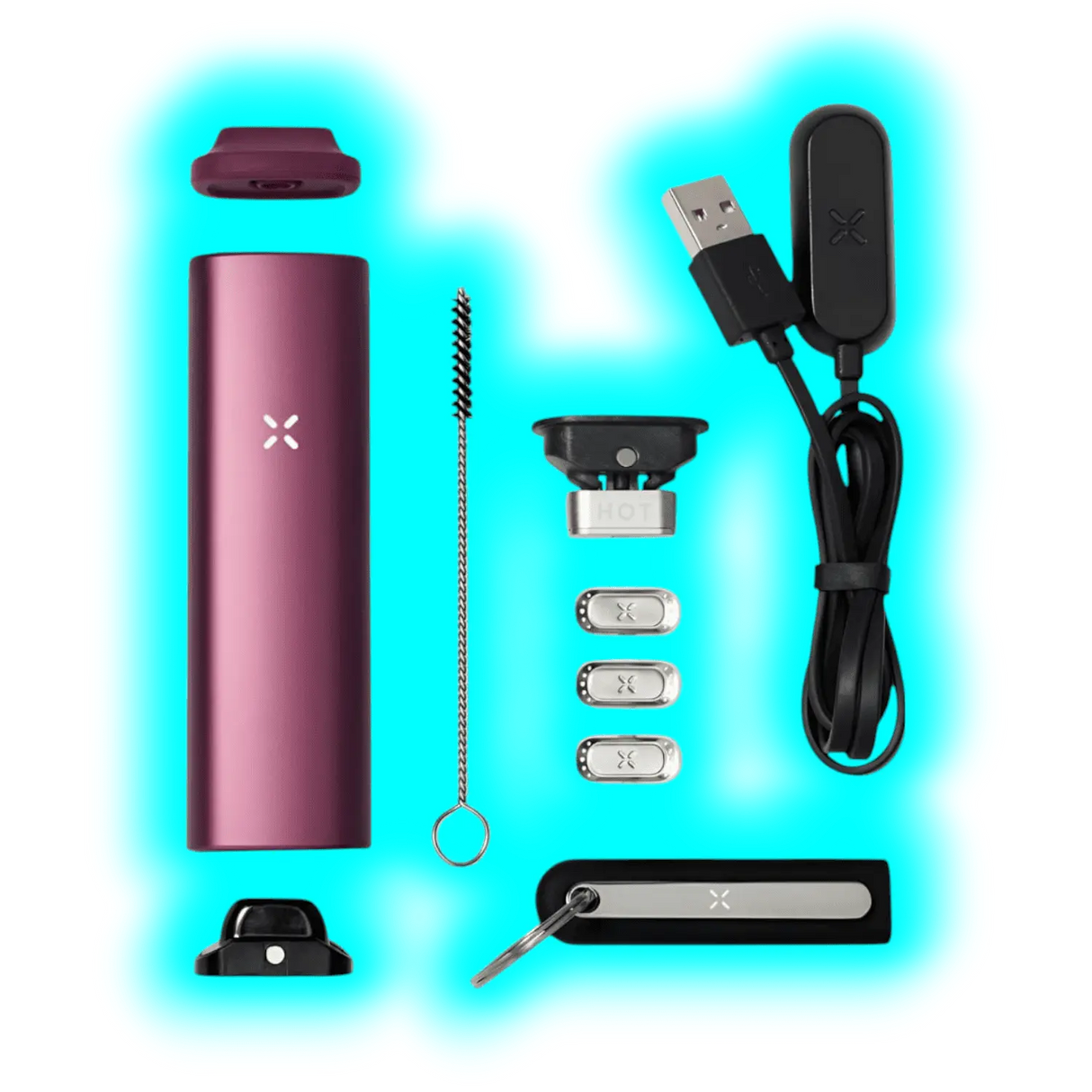 PAX Plus Litmited Edition Complete Kit Elderberrry