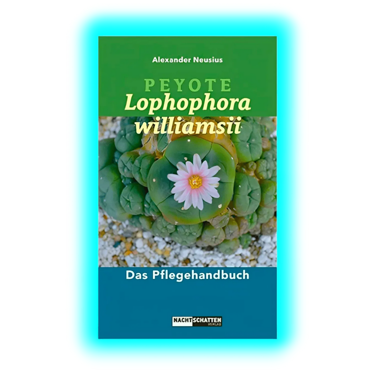 Peyote - Lophophora williamsii