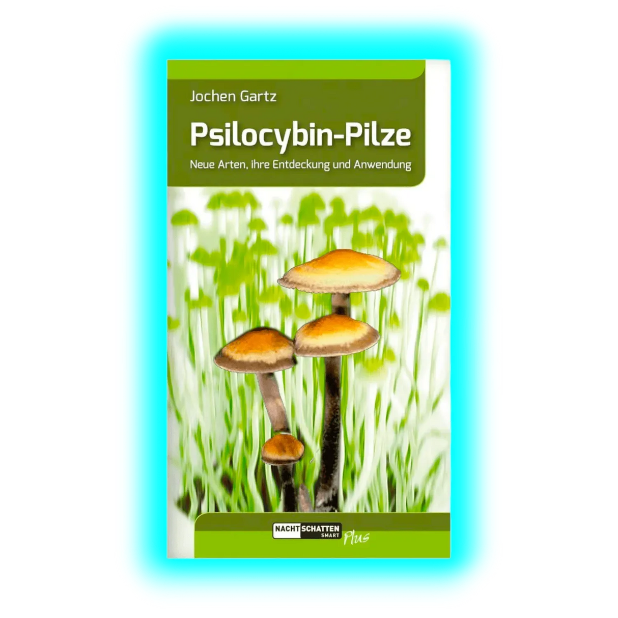 Psilocybin-Pilze
