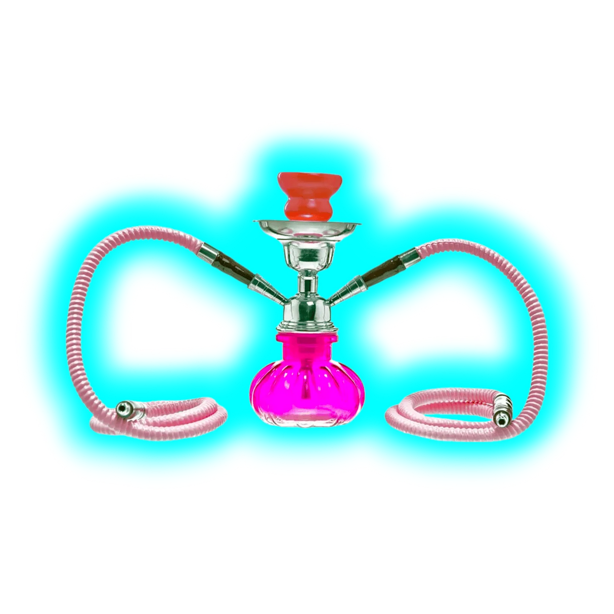 Pumpkin | Hookah 2 Tubes 24cm Pink