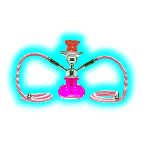 Pumpkin | Hookah 2 Tubes 24cm Pink