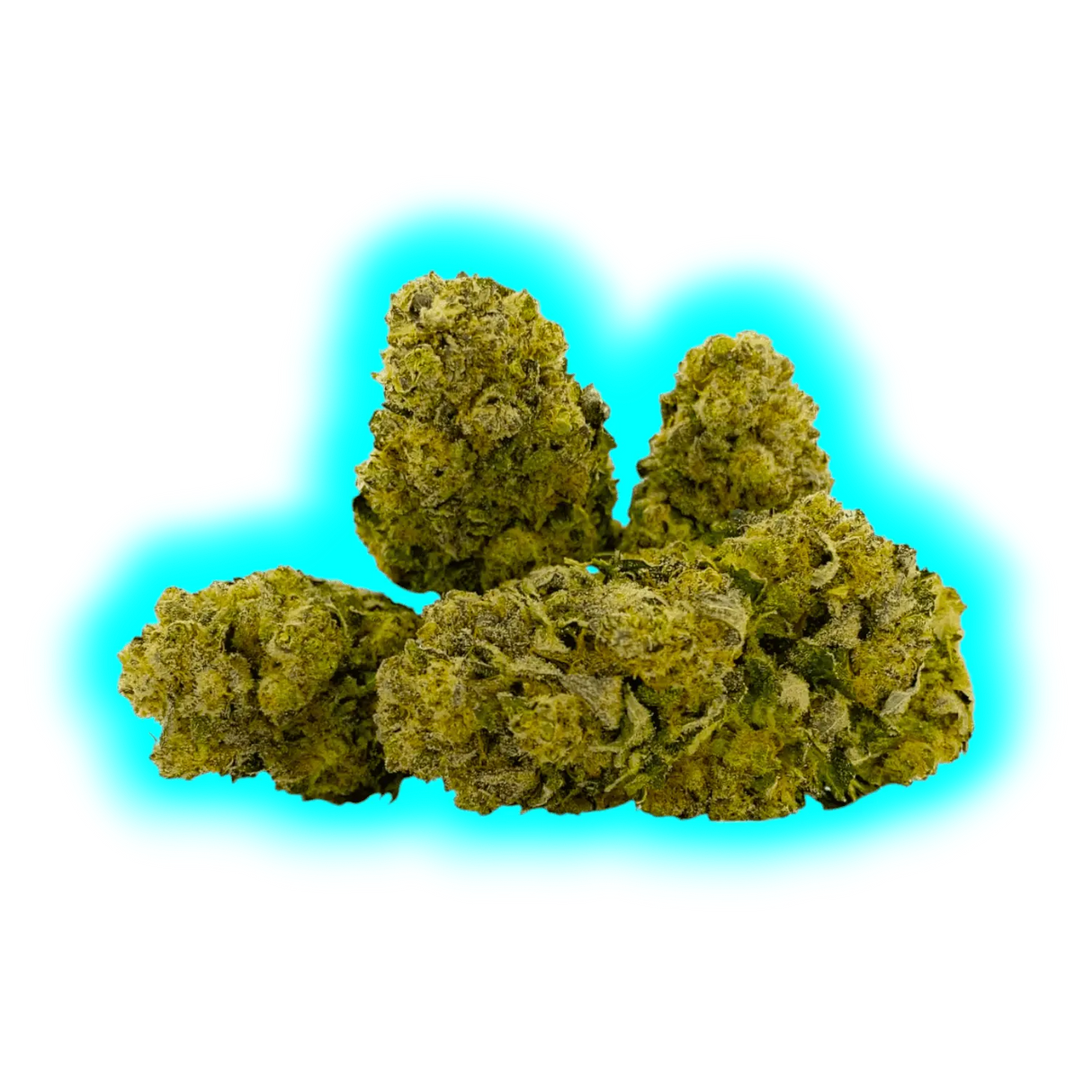 Qualicann Banana Diesel Indoor 5.5g