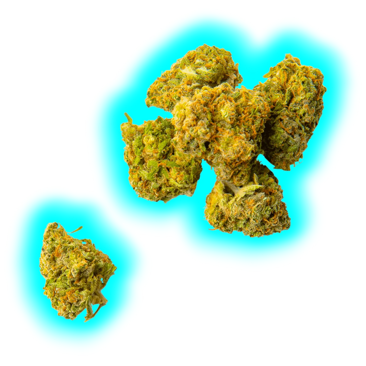 Qualicann Habanero Kush Indoor 2g