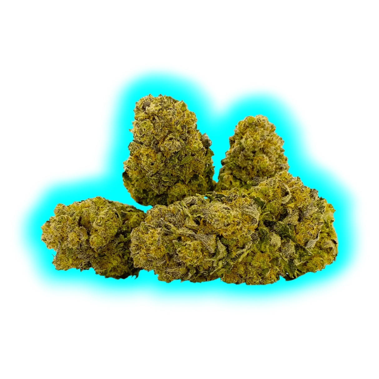 Qualicann Pre Rolled Joint Habanero Kush