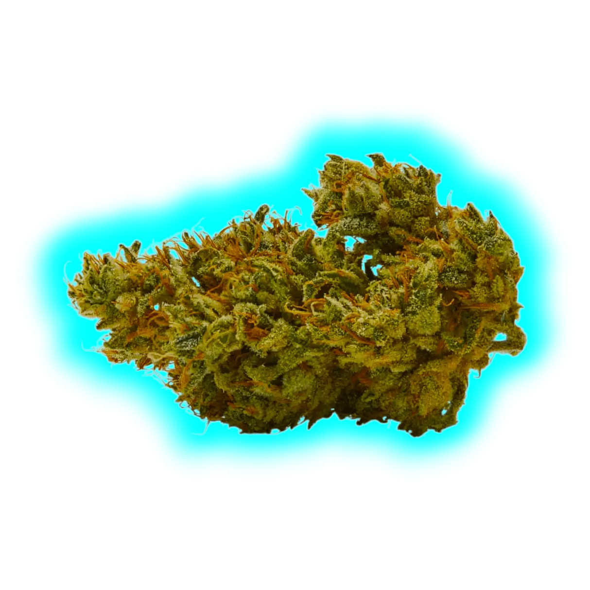 Qualicann x Purize Pre Rolled Joint Sweet Star