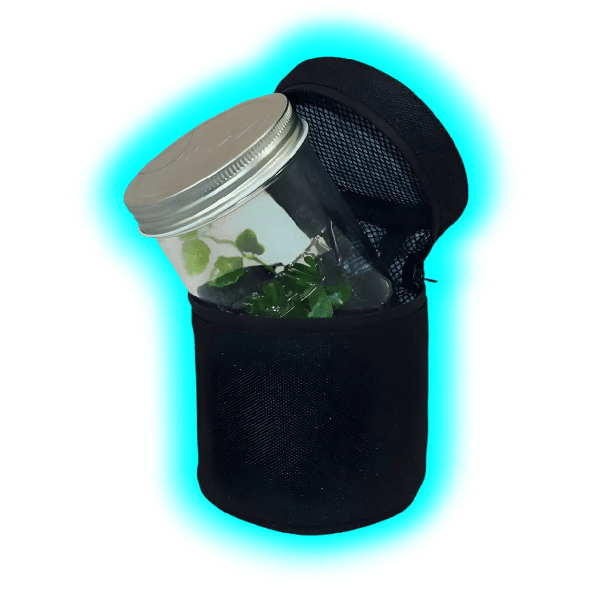 RAW Mason Jar In Protective Case 10oz