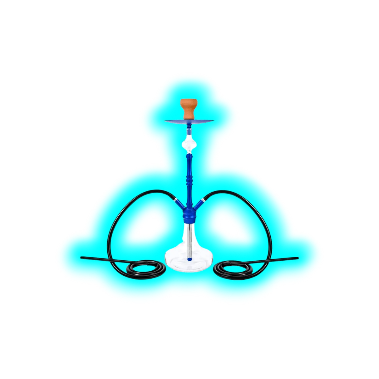 Shisha Catcher 66cm Two Tubes