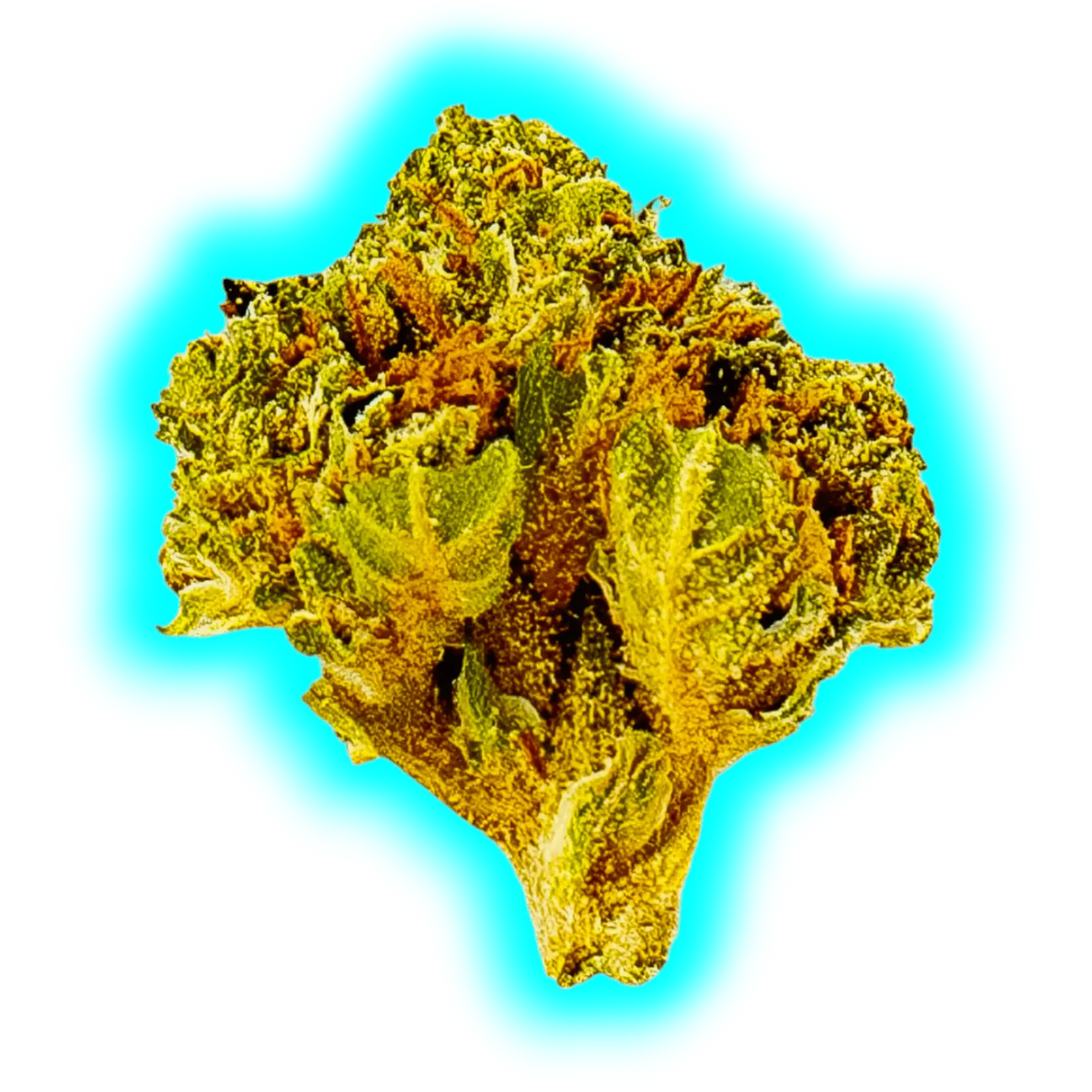 Slow Weed Snow White 10g