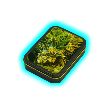 Square Box - Weed