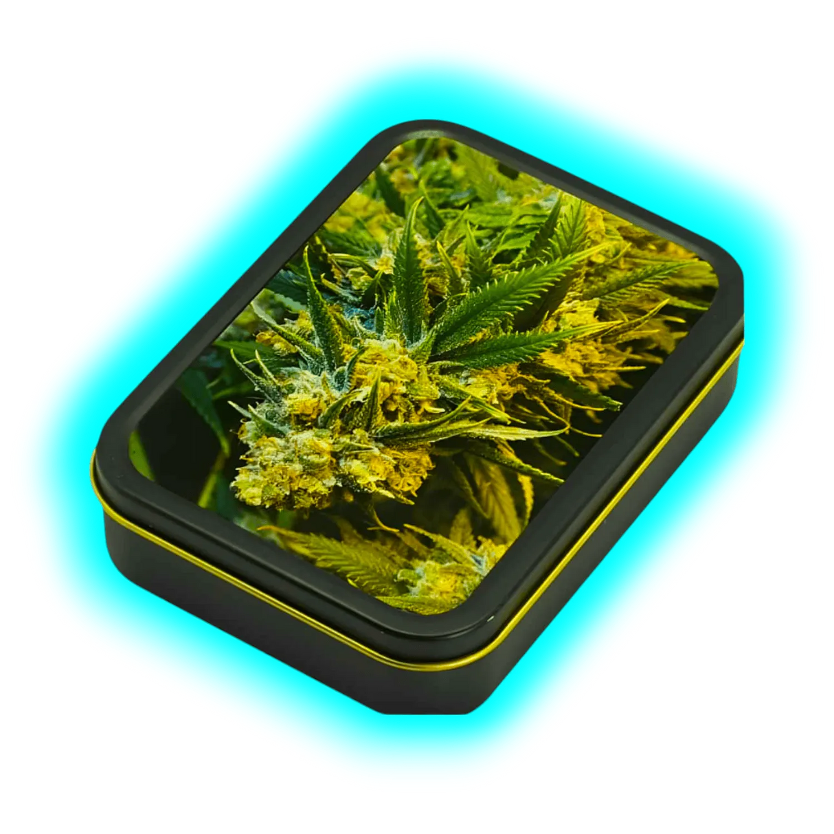 Square Box - Weed