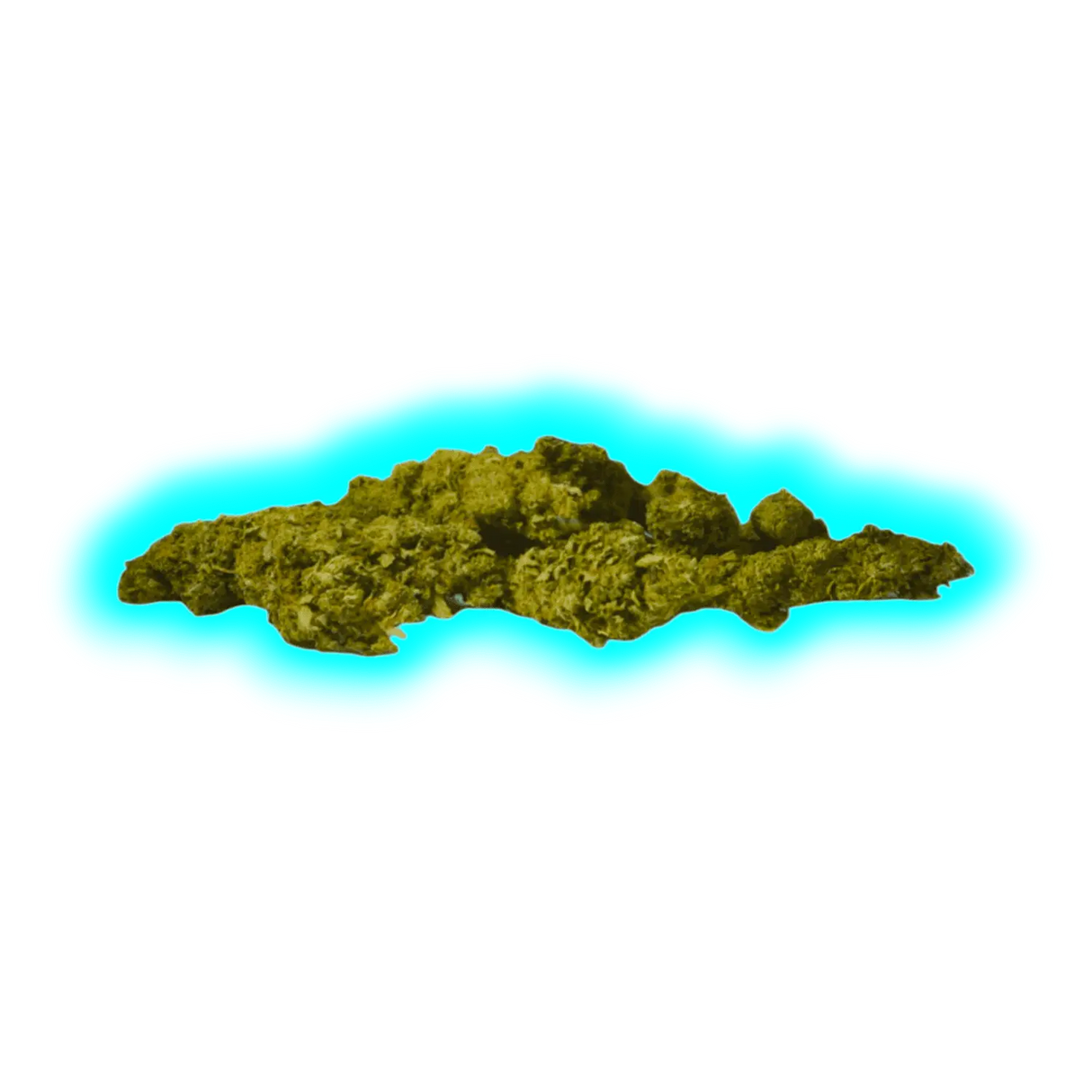 Starbuds Blueberry 15g