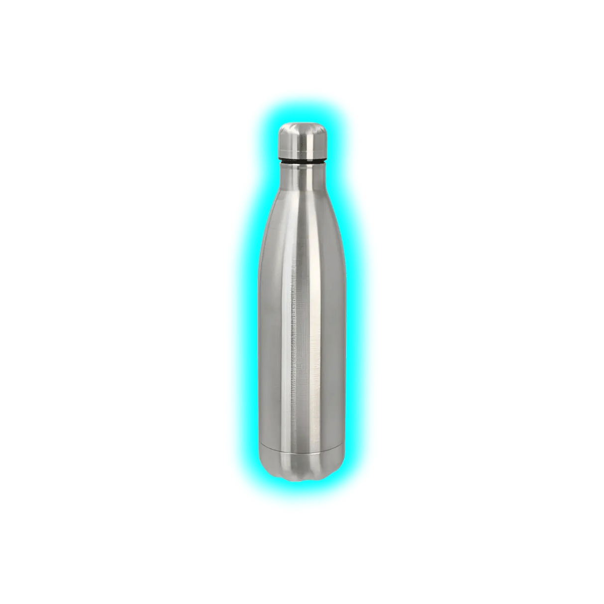 Stash Thermo Bottle Safe