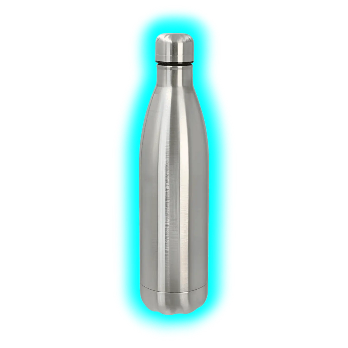 Stash Thermo Bottle Safe