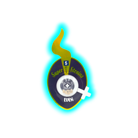 Super Strains Seeds Saga 5pcs