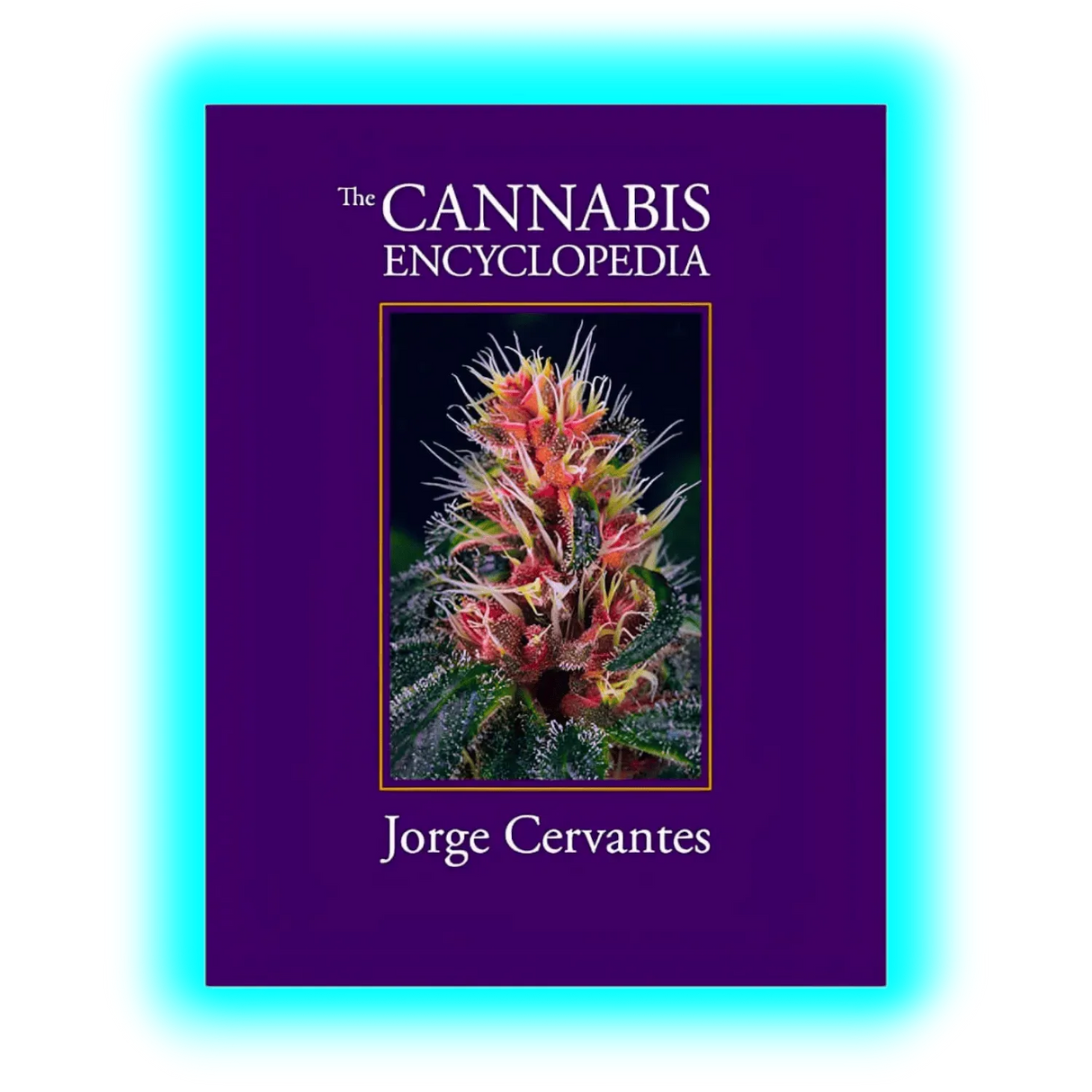 The Cannabis Encyclopedia - Jorge Cervantes