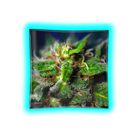 V Syndicate Glass Ashtray Blue Dream