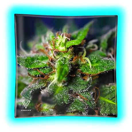 V Syndicate Glass Ashtray Blue Dream