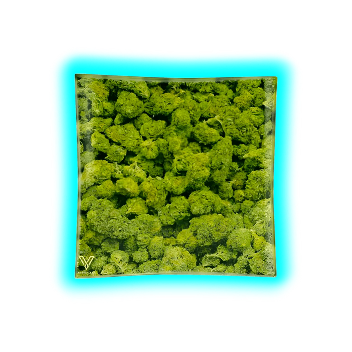 V Syndicate Glass Ashtray Buds