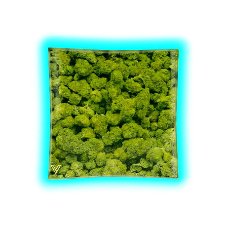 V Syndicate Glass Ashtray Buds