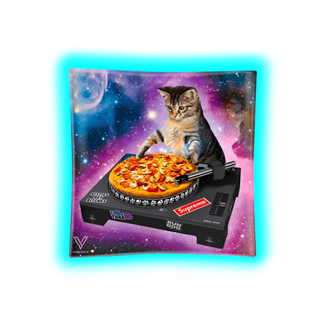 V Syndicate Glass Ashtray Pussy Vinyl