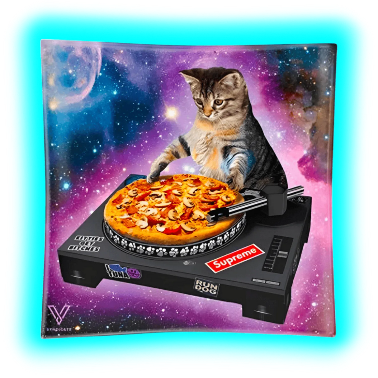 V Syndicate Glass Ashtray Pussy Vinyl