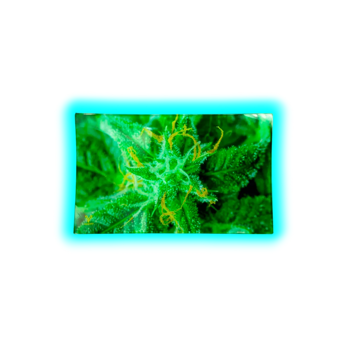 V Syndicate Glastray M AK47 160 x 260mm