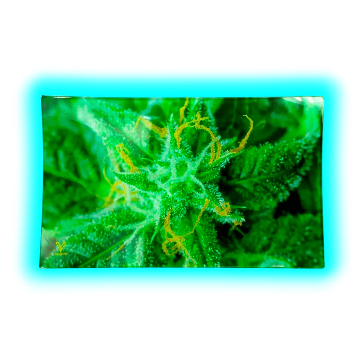 V Syndicate Glastray M AK47 160 x 260mm