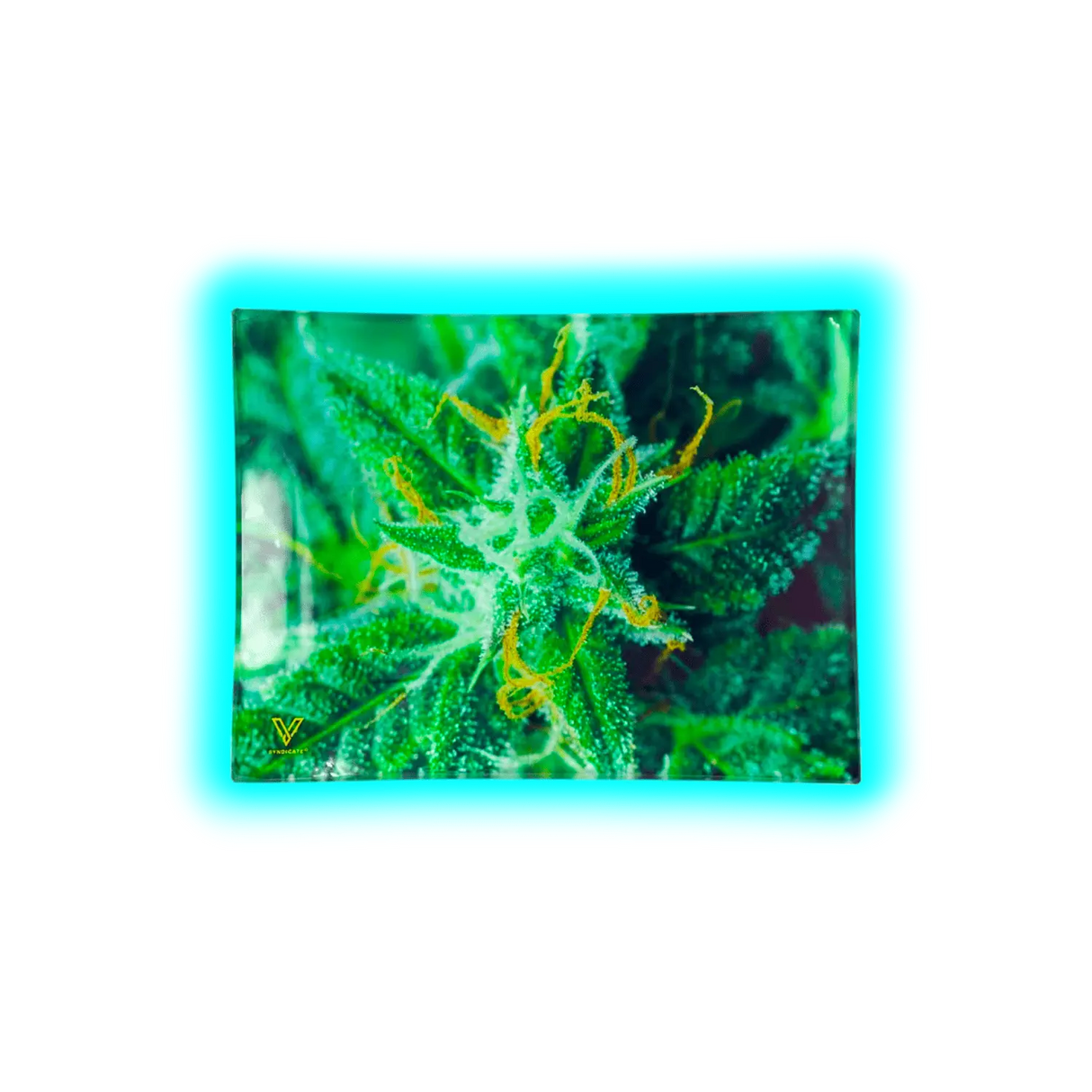 V Syndicate Glastray S AK47 125 x 165mm