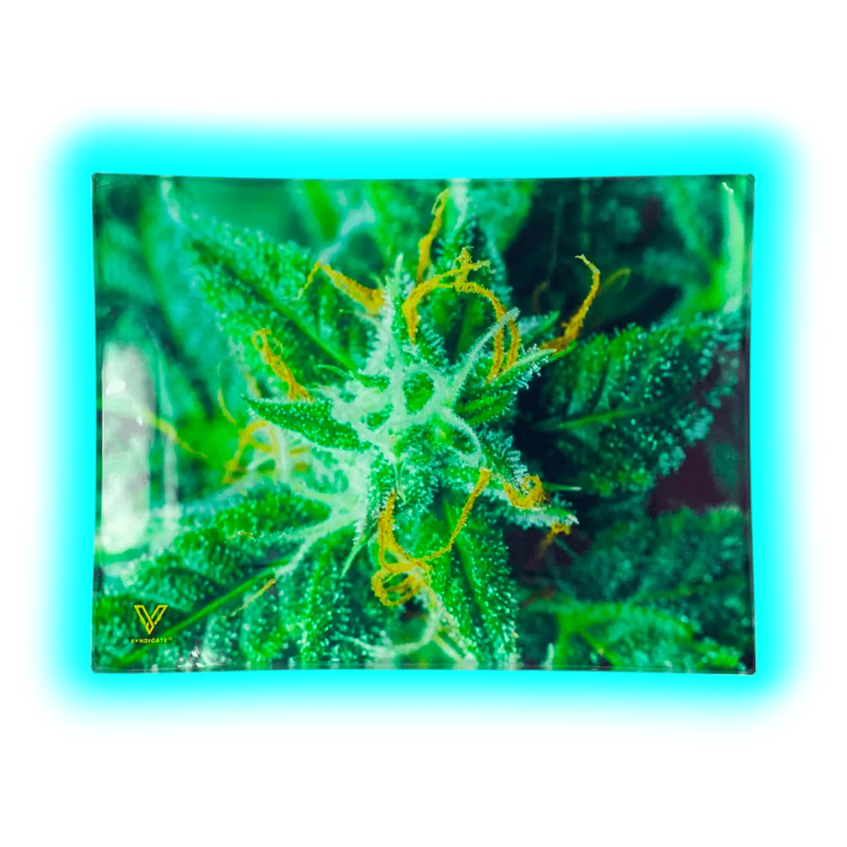 V Syndicate Glastray S AK47 125 x 165mm