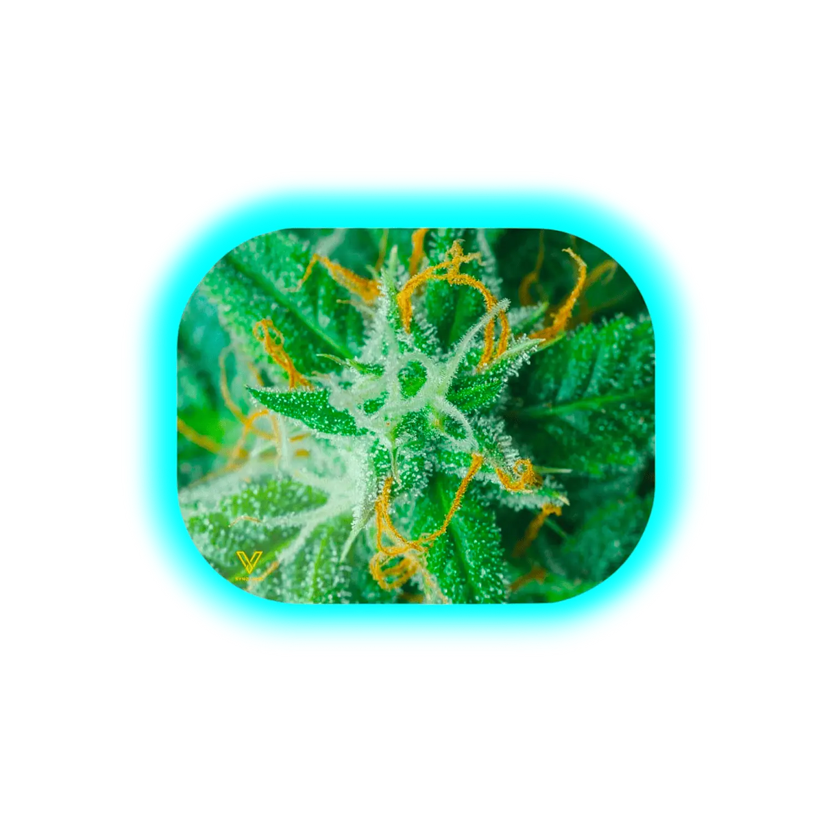 V Syndicate Mag Slap S AK47 140 x 180mm